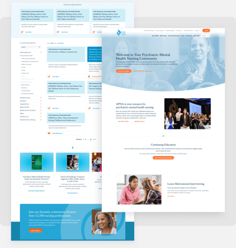 Portfolio-APNA-2Desktops-Grey-gray-1-1200x1263